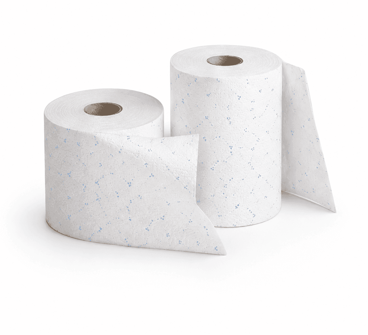 Paper Towels & Napkins